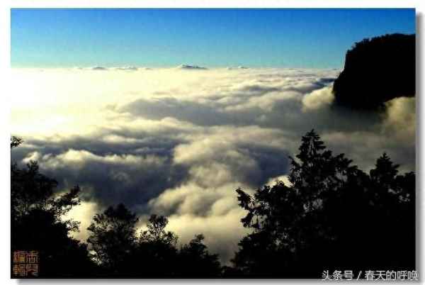 阿里山在臺南還是臺北-阿里山在臺灣嗎
