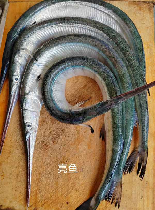 醋燜草魚(yú)的家常做法大全(醋燜草魚(yú)的家常做法大全視頻)