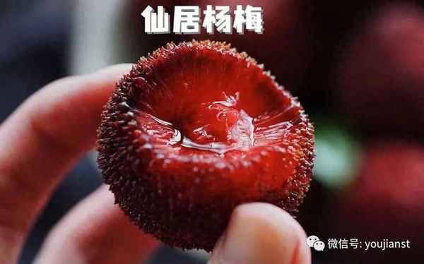 楊梅酒怎么喝好喝-楊梅酒怎么喝好喝一點