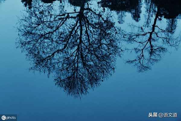 此夜曲中闻折柳的修辞手法(此夜曲中闻折柳用典)