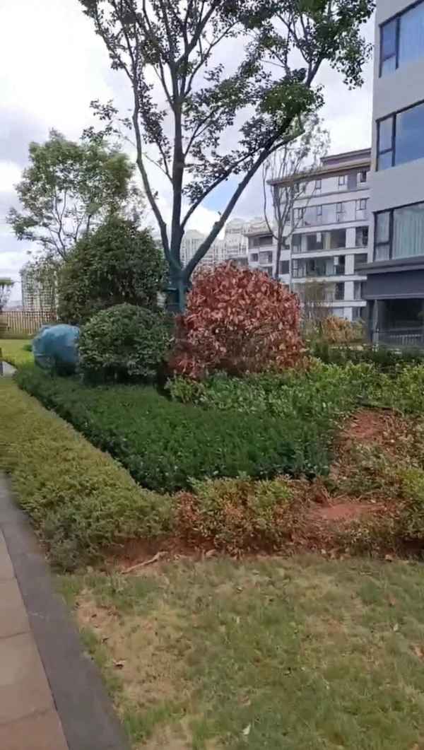 天然气未开通可以交房吗;天然气没通能交房吗