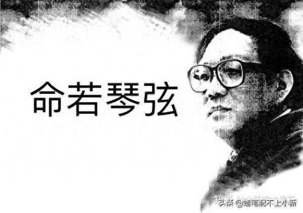 命若琴弦的讀后感作文—命若琴弦讀后感100字