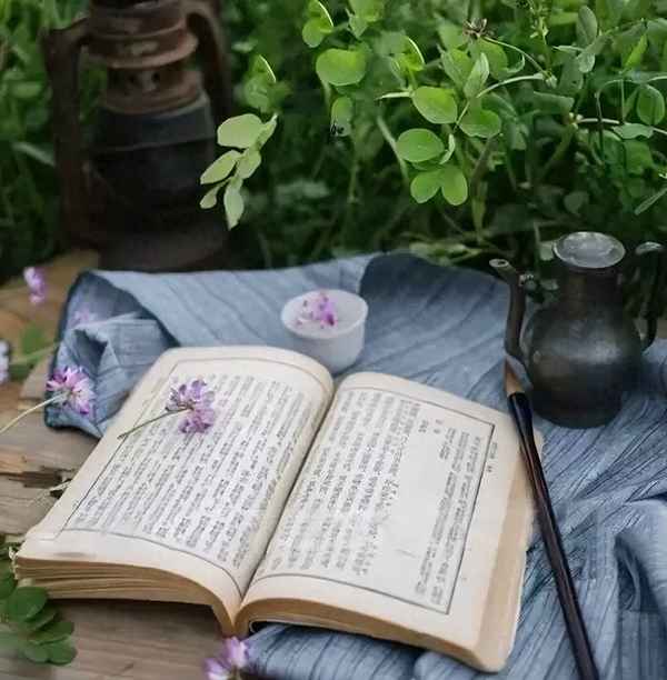 读书的好处优美句子(读书的好处优美句子100字)