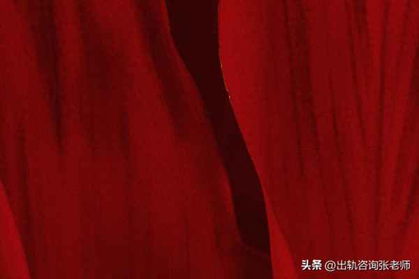 三種人不宜吃兔子,三種人不宜吃兔子,皮膚瘙癢能吃鴨子嗎