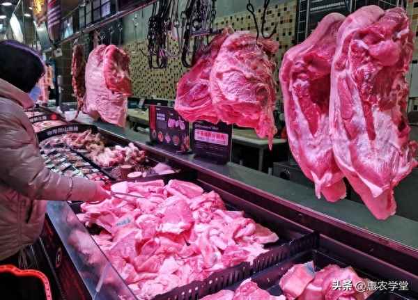今日猪肉价格走势图,生猪价格今日价