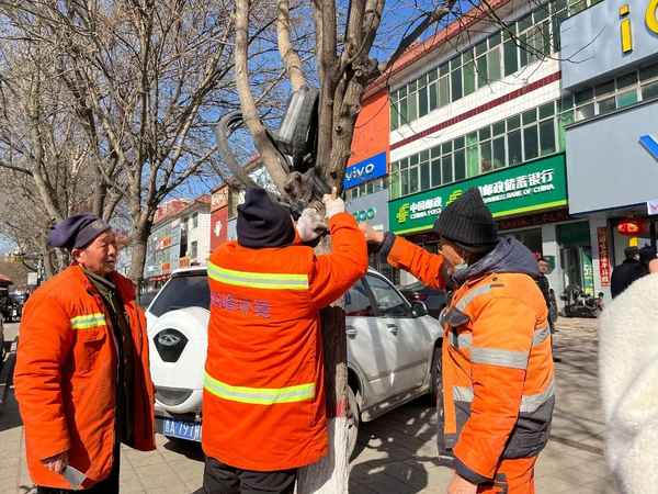 行政执法是管环卫工作吗;行政执法是行政编吗