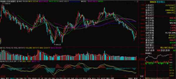 敦煌种业最新利好消息、2023年蔬菜种子交易会