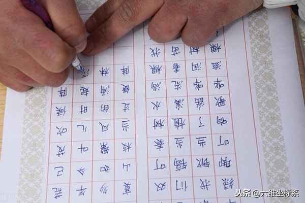 一二年級拼音大全;一二年級的拼音字母