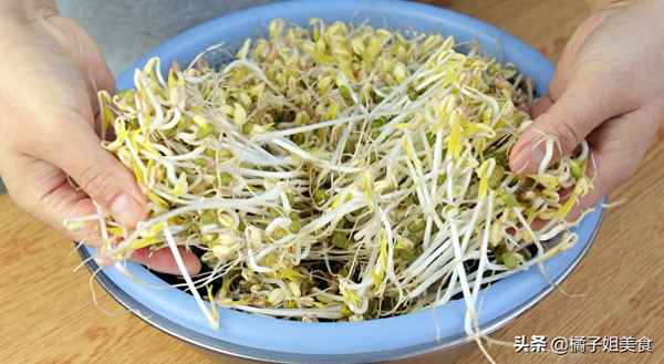 種綠豆芽的方法和過程-種綠豆芽的方法和過程照片