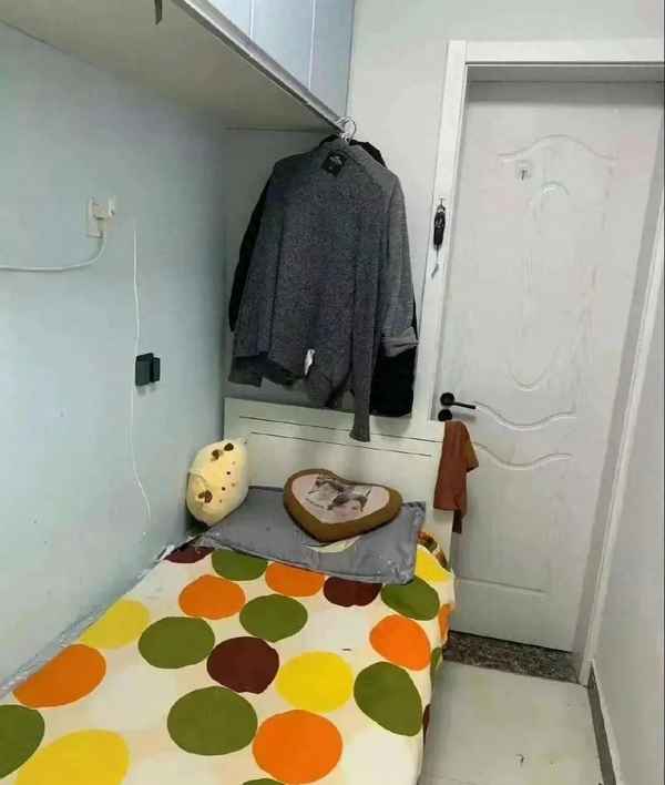 有房出租图片带字图片(有房出租图片 艺术字)