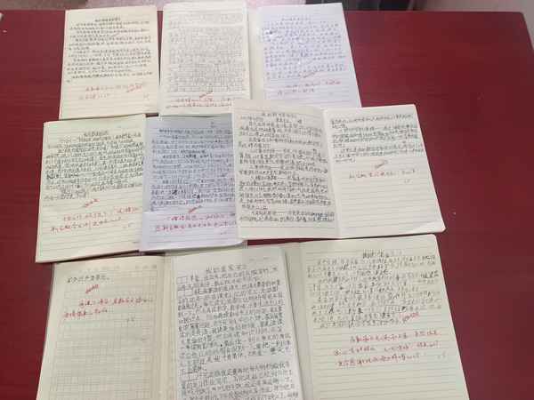 數學日記20篇20字-數學日記二十篇