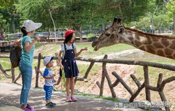 曼谷動物園可以現場買票嗎;曼谷必去的五個動物園
