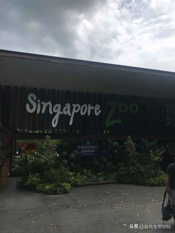 新加坡動物園演出時間表;新加坡動物園好玩嗎