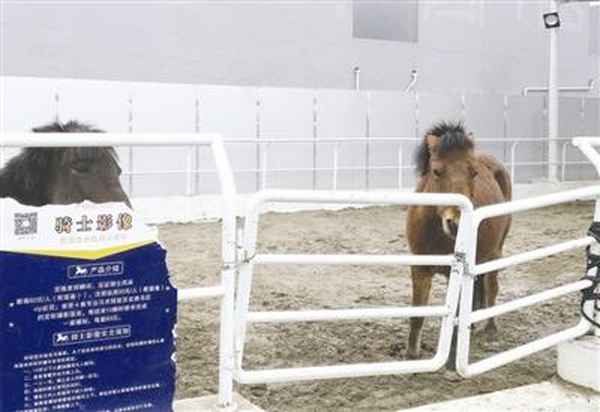 尚馬教育—尚馬教育很坑嗎