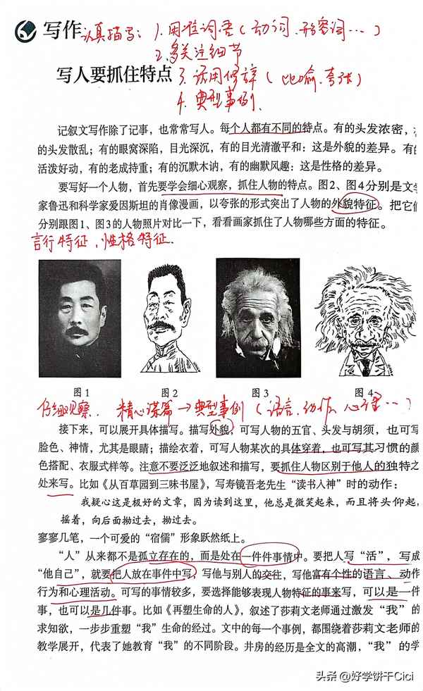 七年級二單元單詞表上冊—七年級上冊2單元單詞表