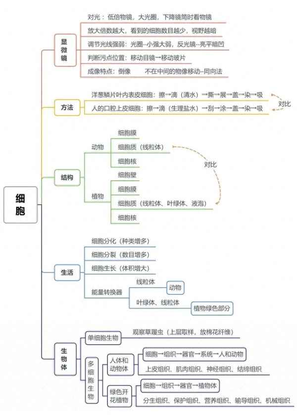 初一生物思維導圖全部、初一生物思維導圖全部內容人教版