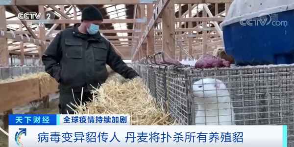 天下财经貂_天下财经2020