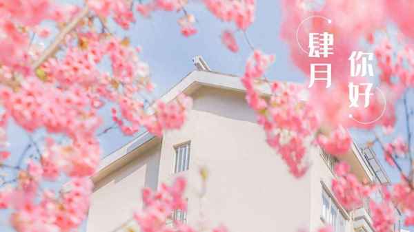 帶然字的詩句唯美四字-然字一般人用不起