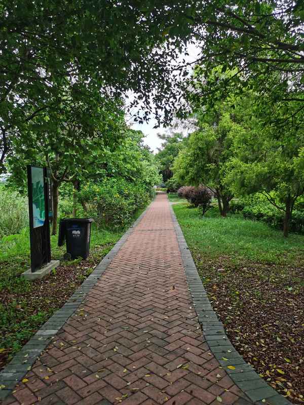 廣州海珠濕地公園門票預約(廣卅海珠濕地公園)