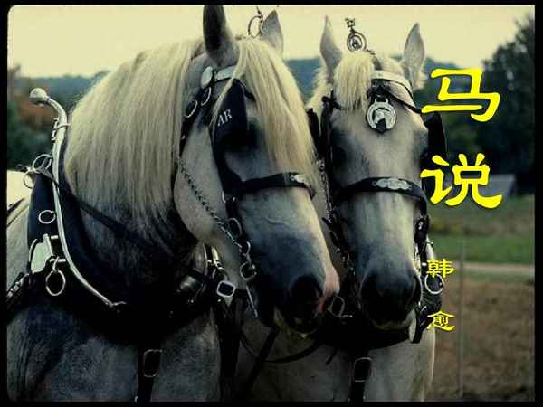 安求其能千里也前一句、安求其能千里也的前一句