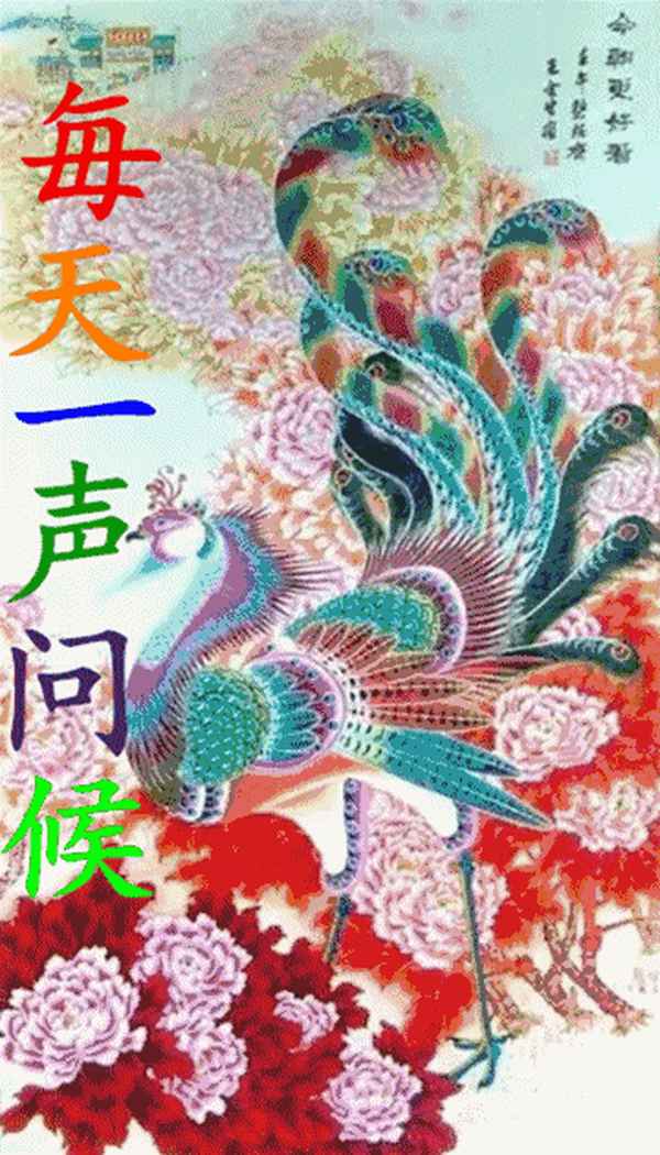 丹鳳朝陽(yáng)在線(xiàn)全文免費閱讀_丹鳳朝陽(yáng)小說(shuō)晉江
