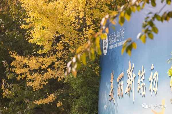 渭南初级中学附近租房情况(渭南初级中学住校吗)