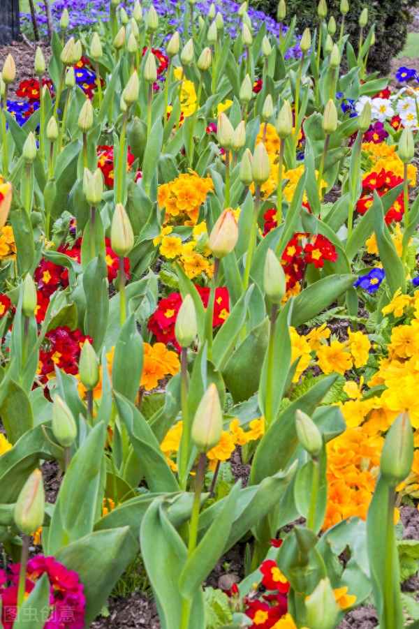 南园十三首其五的介绍,南园十三首其五解释