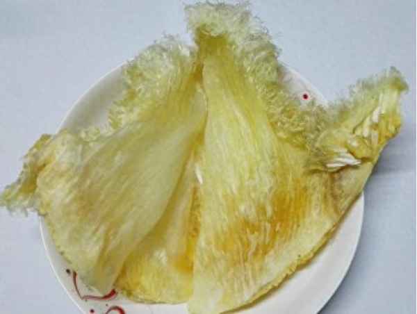 魚翅圖片大全大圖-魚翅功效和營養價值