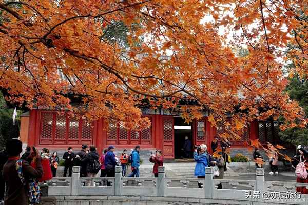 北京景區十大排名最好玩的地方(北京旅游攻略5日游最佳方案)