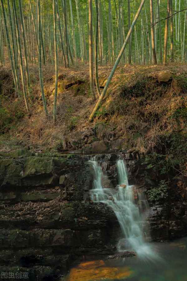 蝉噪林逾静的原文—蝉噪林逾静的拼音