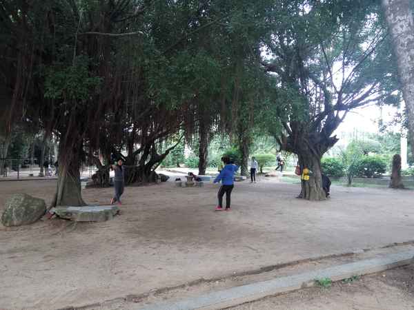 雷州市旅游景點(diǎn)大全(雷州旅游攻略必玩的景點(diǎn))
