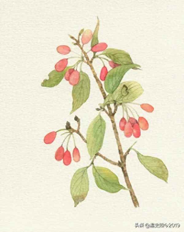 疑是故人来 前一句—疑是故人来歌曲原唱试听