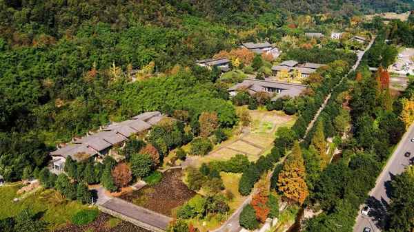 都江堰熊貓谷門票在哪里購買、都江堰熊貓谷網上購票