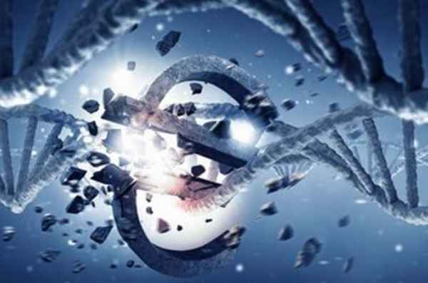 结转房产税(结转房产税车船税)