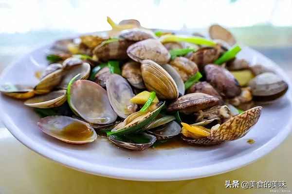 和花甲很像的貝類(lèi)叫什么_和花甲很像的貝類(lèi)叫什么海貝