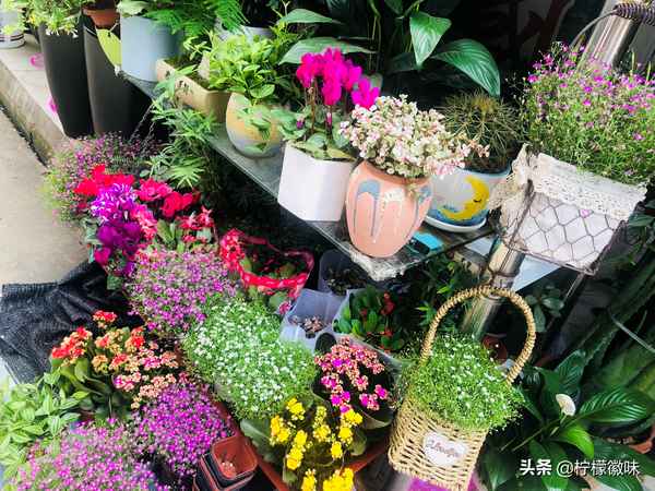 裕丰花市现在正常营业吗,裕丰花市现在正常营业吗最近