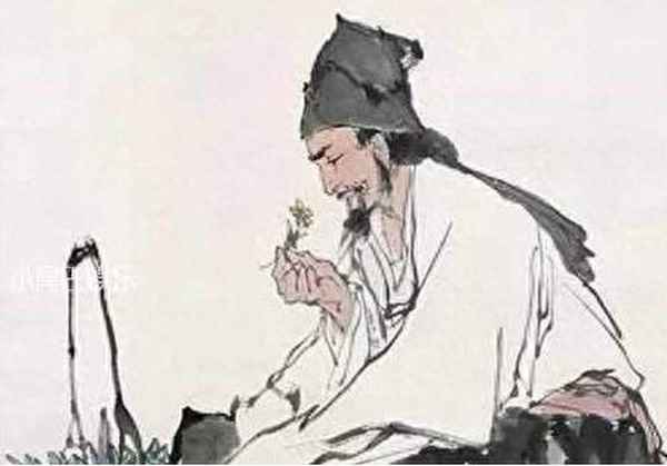 本草纲目内容是什么(本草纲目都有什么内容)