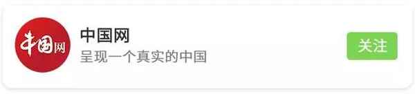 健康圖解;指甲紋路看健康圖解