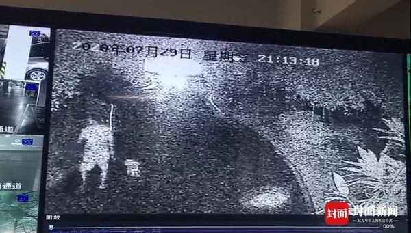 被小区的狗咬了找哪个部门,被小区狗咬了报警吗