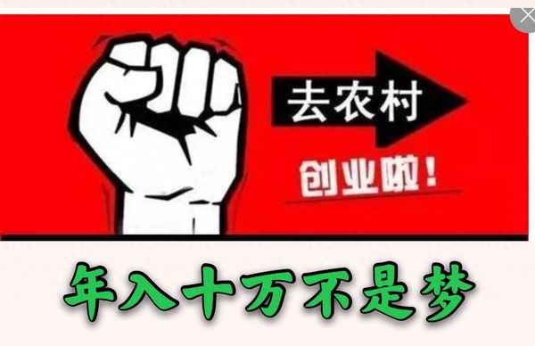 火雞市場價多少一斤、離我最近的雞苗批發市場