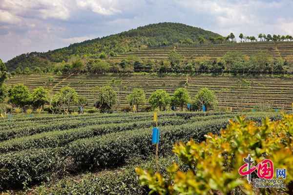 旅游休闲文化_旅游休闲文化概述