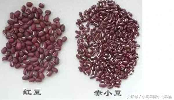 薏仁要炒過(guò)才去濕氣嗎、薏仁要炒過(guò)才去濕氣嗎 水腫