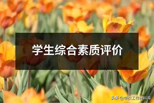 發布綜合素質評價材料的規定_綜合素質評價材料上傳了如何上報