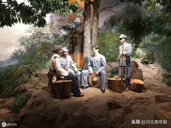 世界上唯一吃熊掌的國家(吃熊掌違法嗎)
