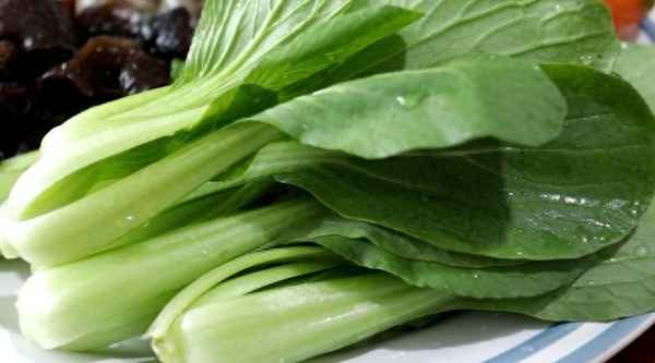 早餐店最暢銷的8種粥(牛奶燕麥粥的做法)