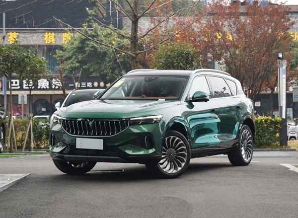 嵐圖汽車值得購買嗎、嵐圖哪個國家的品牌