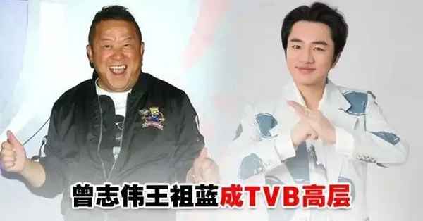 曾志偉演的電視劇,曾志偉演的電視劇有小孩的叫什么
