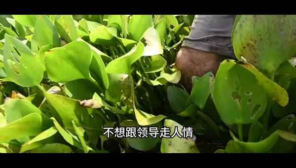 干部選拔三年思想總結(擬提任干部現實表現材料)