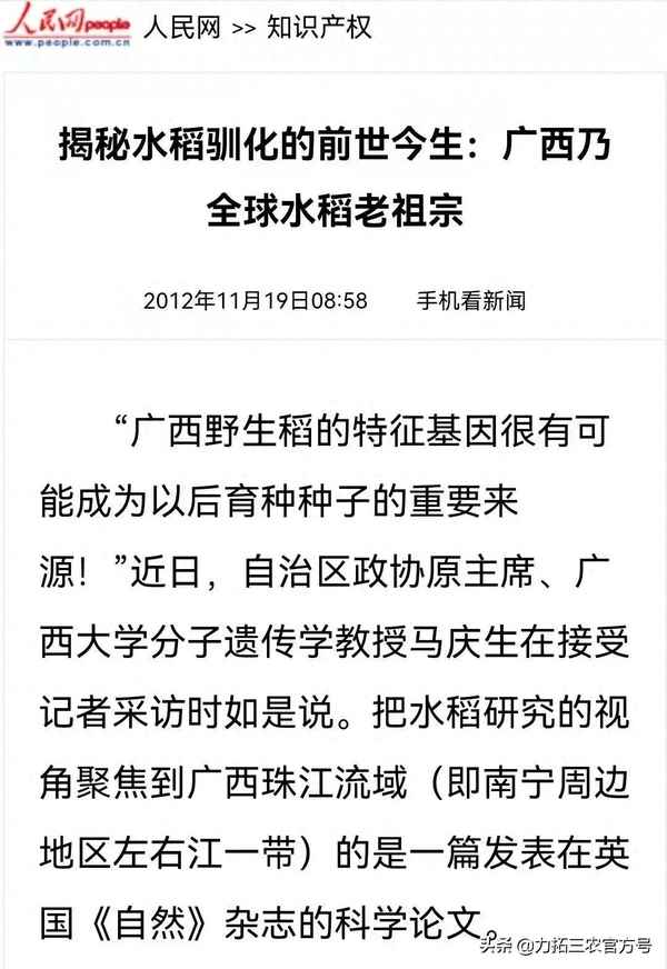 水稻最早出现在哪个地区(水稻最早的原产地)