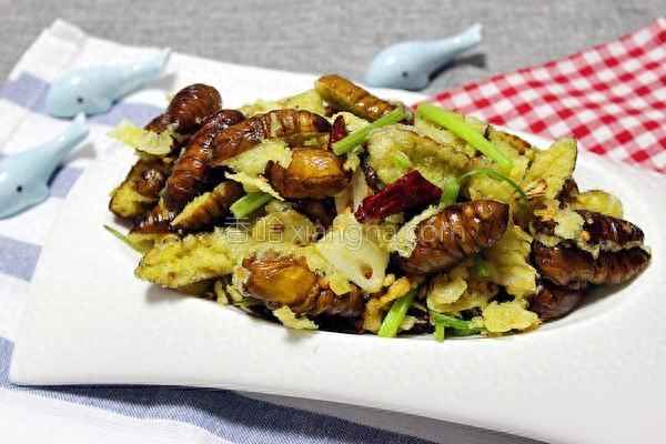 干煸蠶蛹家常簡(jiǎn)單做法(干煸蠶蛹的做法視頻)